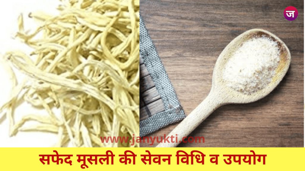 सफेद मूसली सेवन विधि एवं उपयोग | Safed Musli Use In Hindi